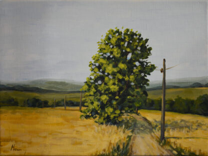Old road