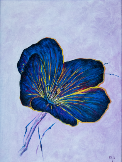 Floarea Conștiinței, ulei pe pânză, 30 x 40 cm.