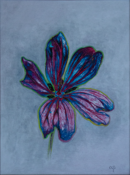 Floarea Dorinței, ulei pe pânză, 30 x 40 cm.