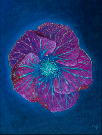 Floarea Spiritualității, ulei pe pânză, 30 x 40 cm.