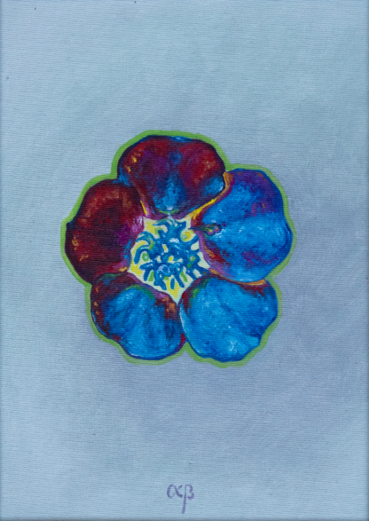Floarea Sinelui, ulei pe pânză, 20 x 30 cm.