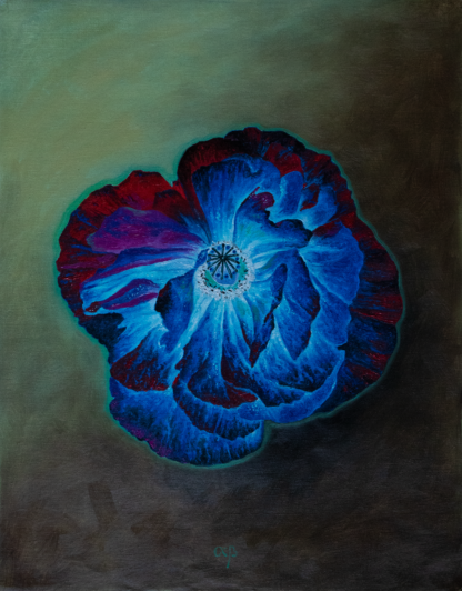 Floarea Renașterii, ulei pe pânză, 40 x 50 cm.