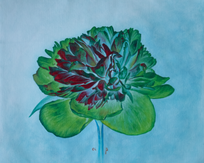 Floarea Rațiunii, ulei pe pânză, 40 x 50 cm.