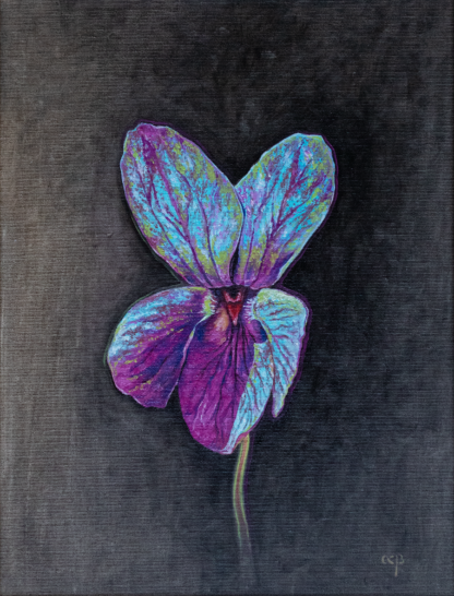 Floarea Meditației, ulei pe pânză, 30 x 40 cm.