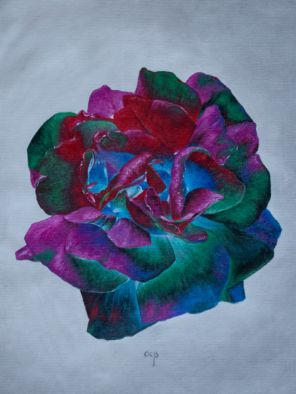 Floarea Bucuriei, ulei pe pânză, 30 x 40 cm.